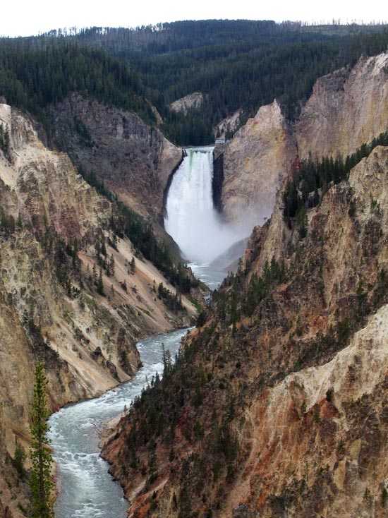 2006 family reunion in Yellowstone National Park